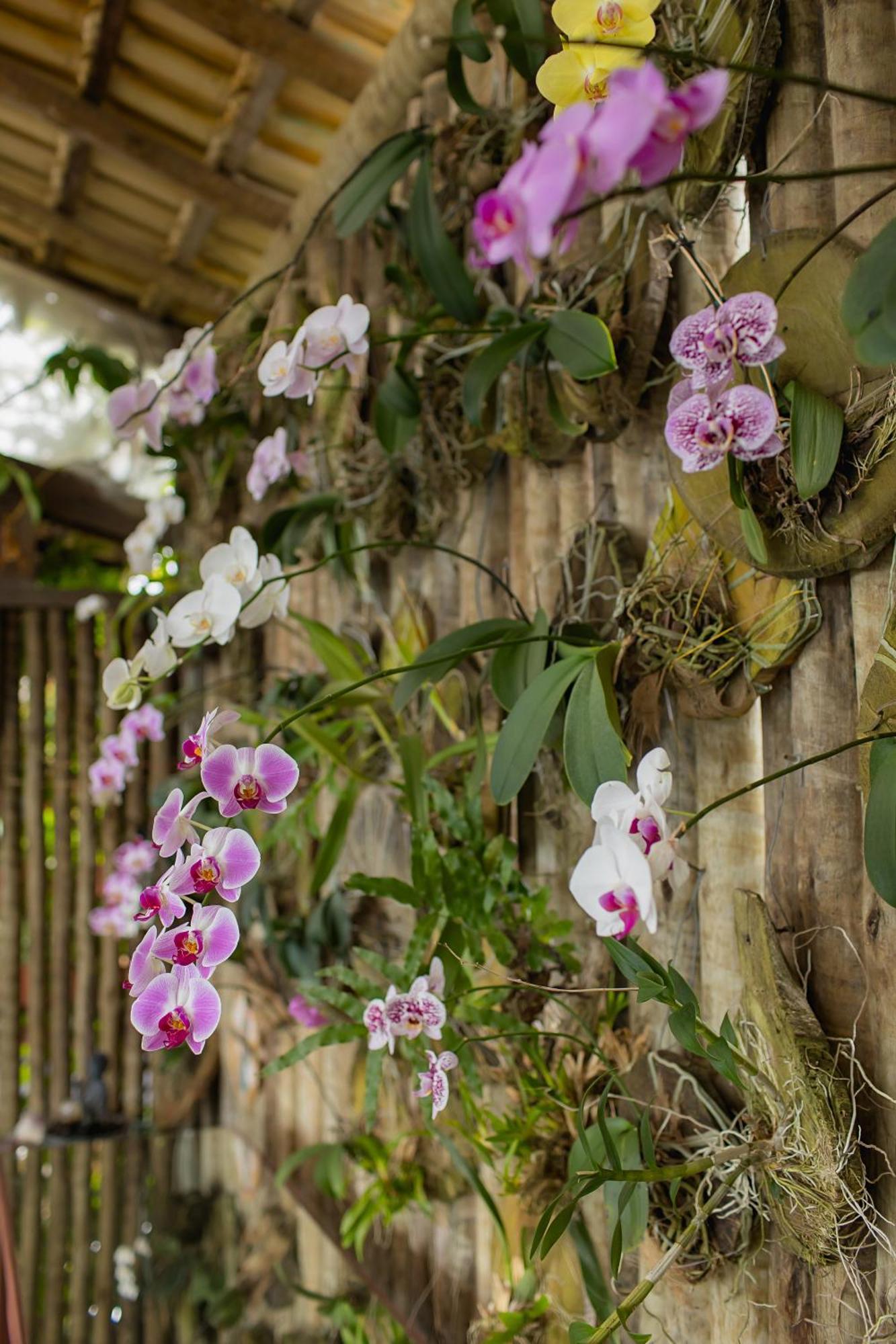 Orquidea Cafe Hotel Guarapari Buitenkant foto